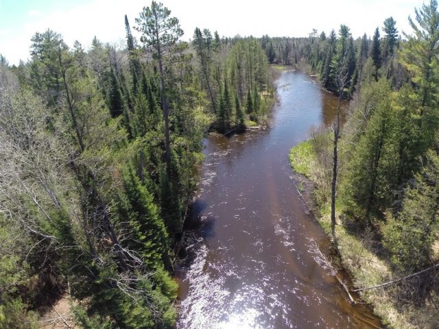 Au Sable River Foot Trail in Lower Michigan