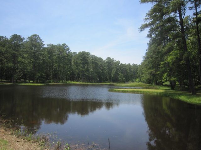 Marathon Lake in Southern Mississippi