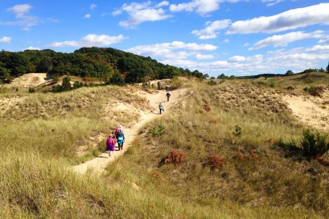 Saugatuck Dunes South Trail in Lower Michigan