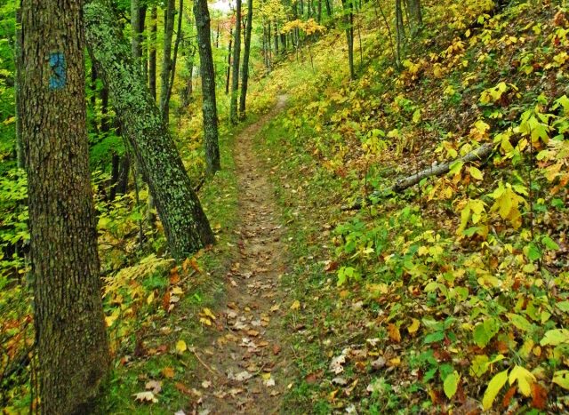 The North Country Scenic Trail in Upper Michigan