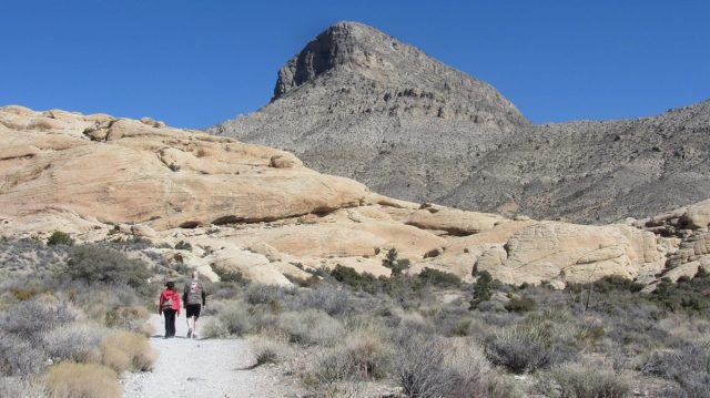 Turtlehead Peak Trail in Southern Nevada